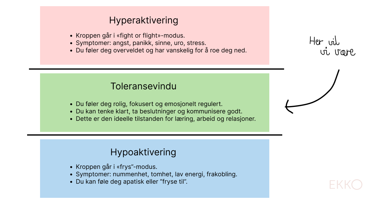 Toleransevindu